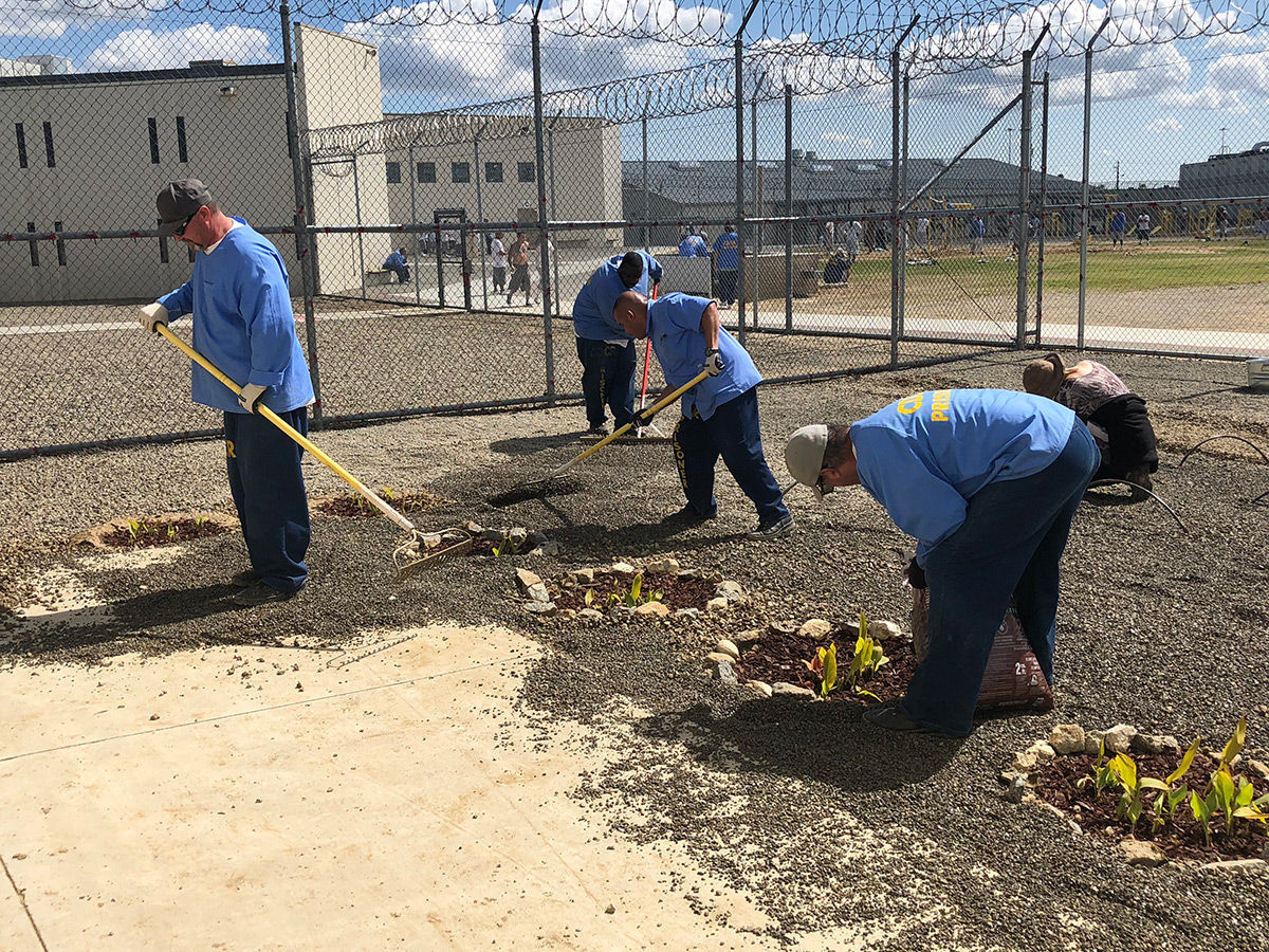Avenal State Prison garden